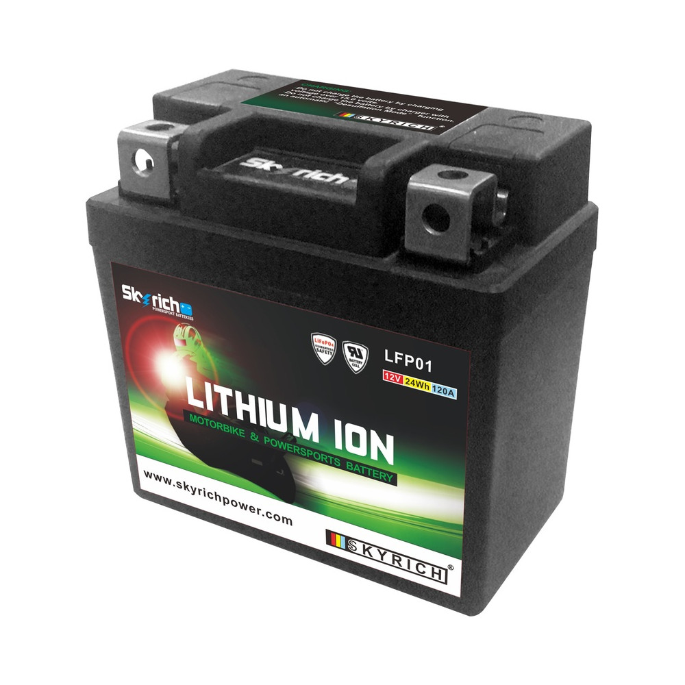 Batterie SKYRICH Lithium-Ion - LTKTM04L