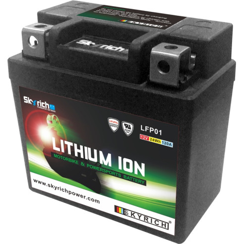 Batterie SKYRICH Lithium-Ion - LTKTM04L