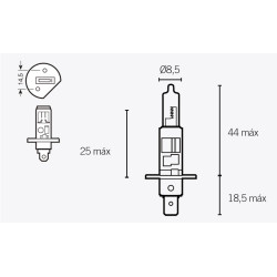 Ampoule Bihr V Parts S25 12V-21/5W - Ampoule